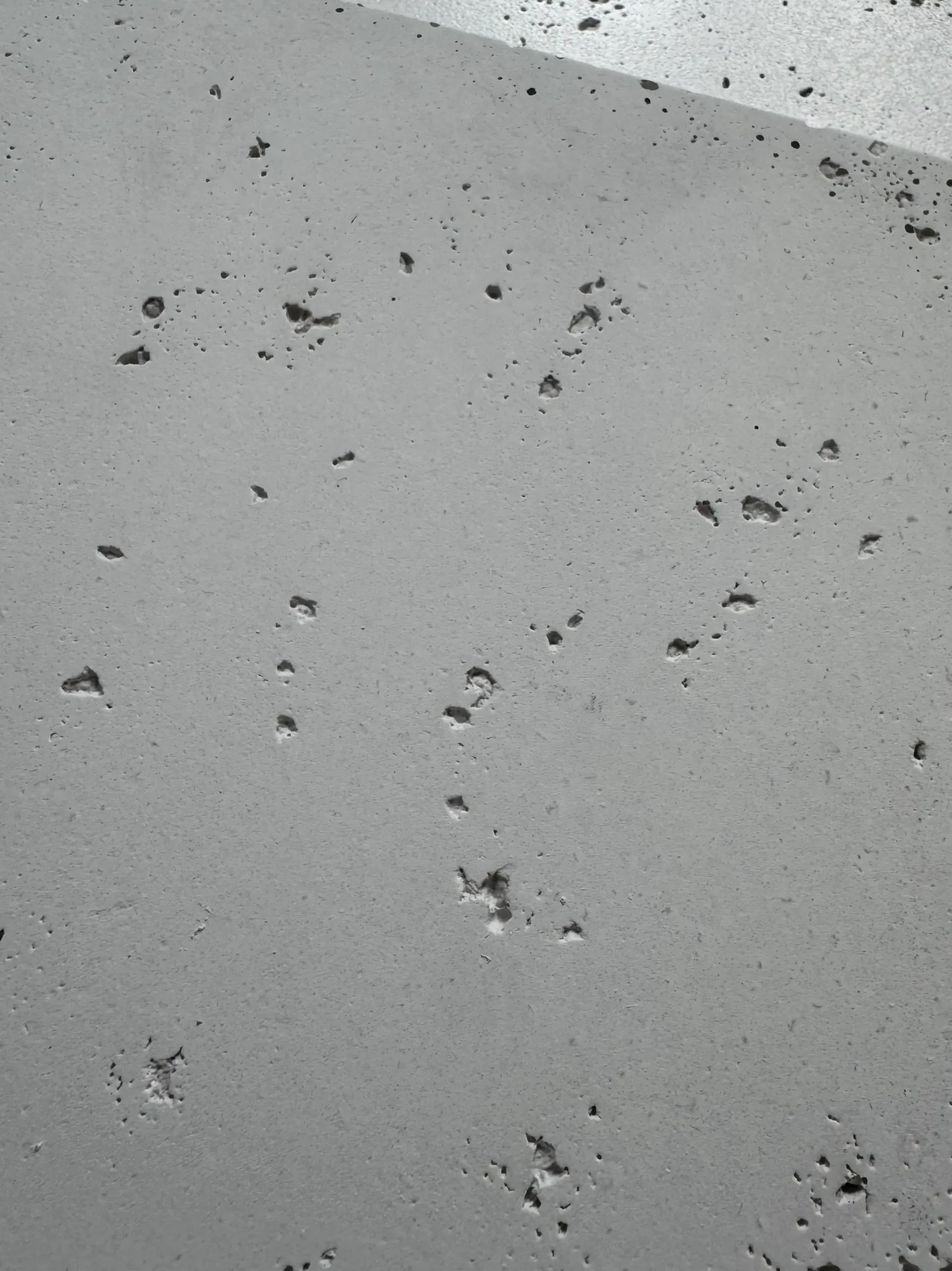 matt Imprägnierung paneele wand